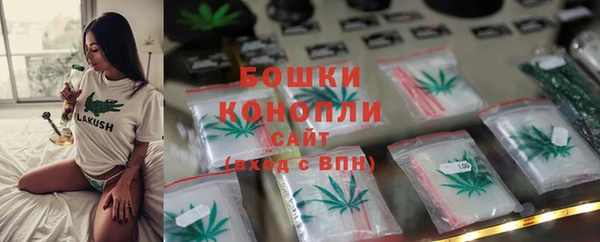 дживик Нягань