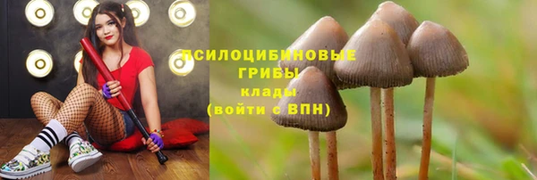 МДМА Абдулино