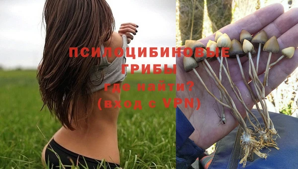 mix Абинск