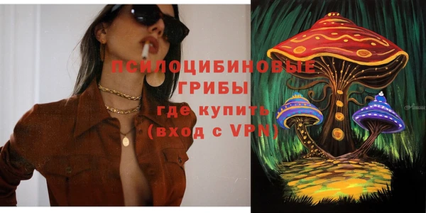 дживик Нягань