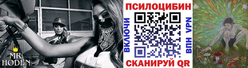 Галлюциногенные грибы мицелий  хочу наркоту  Курчатов 